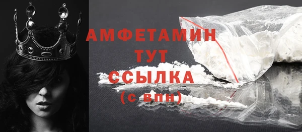 шишки Арсеньев