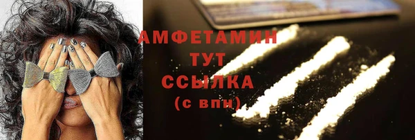 шишки Арсеньев