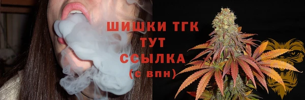 шишки Арсеньев