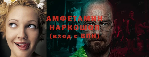 шишки Арсеньев