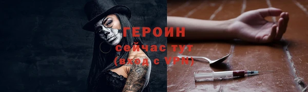 шишки Арсеньев