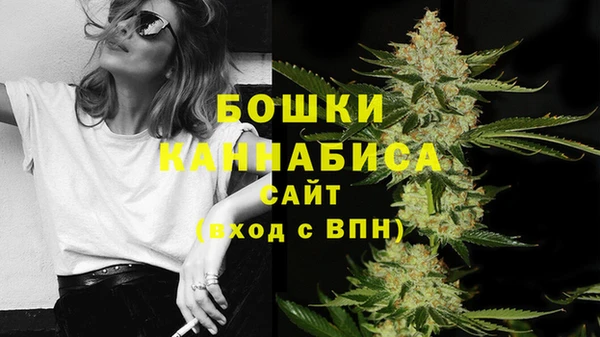 сатива Армянск