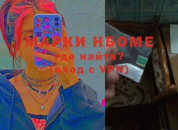хмурый Алексин