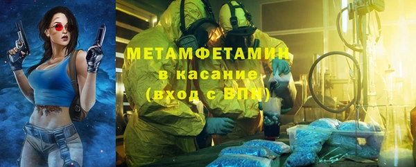 шишки Арсеньев