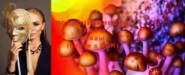 шишки Арсеньев