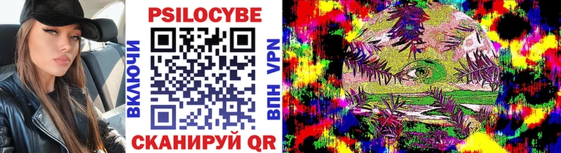 Галлюциногенные грибы Psilocybe  Обнинск 